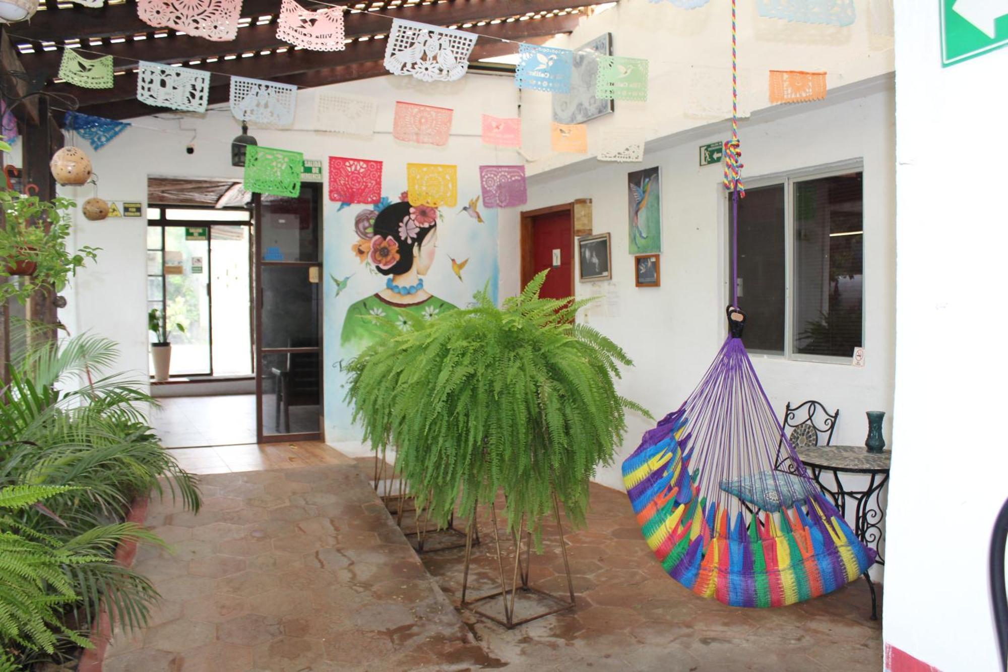 Cabanas Colibri Bacalar Exteriér fotografie