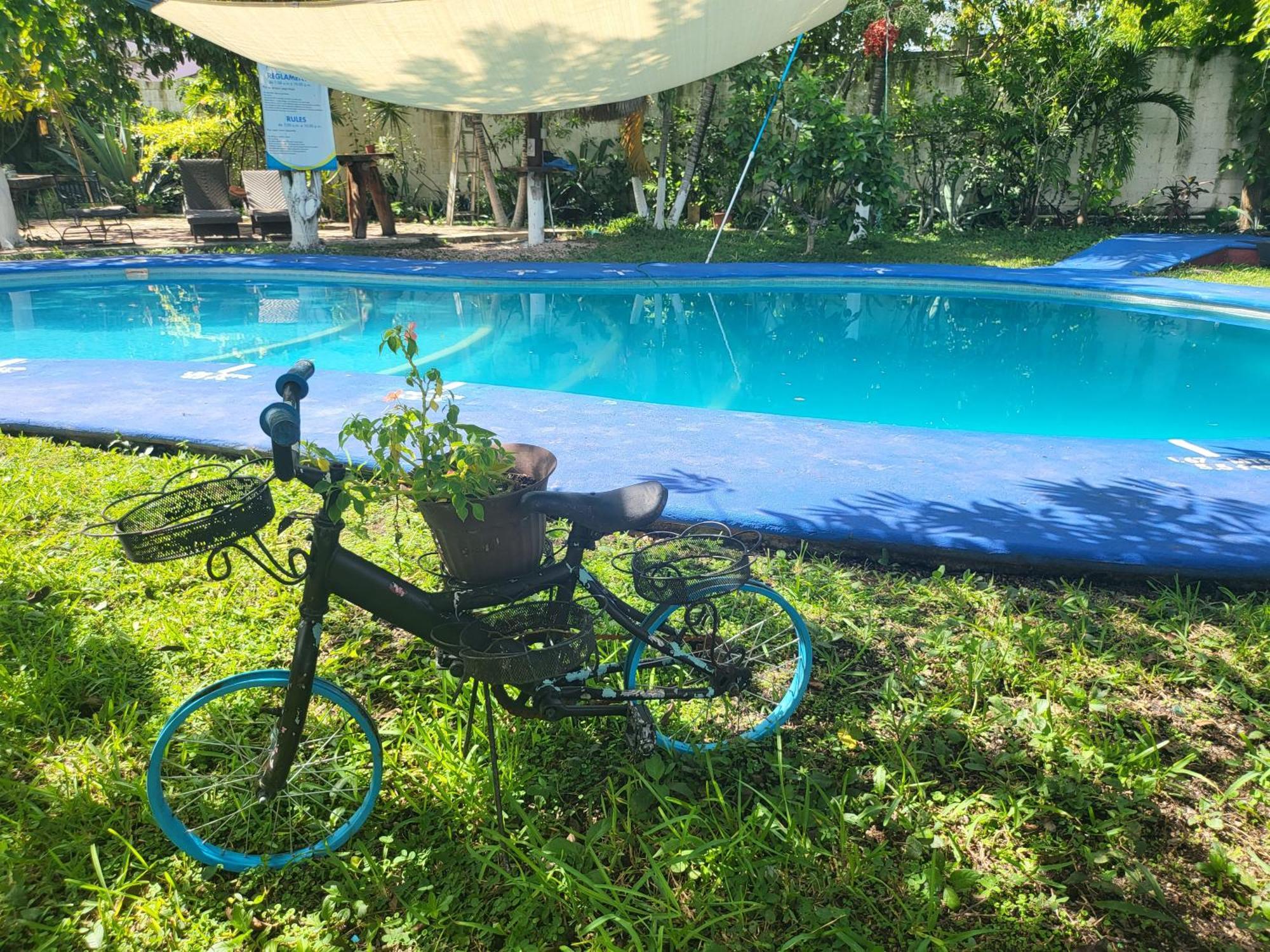 Cabanas Colibri Bacalar Exteriér fotografie